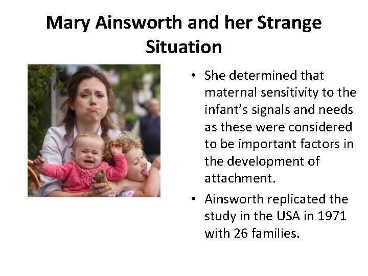 Mary Ainsworth and her Strange Situation • She determined that maternal sensitivity to the