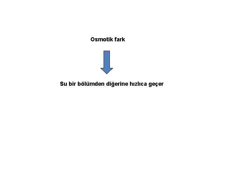 Osmotik fark Su bir bölümden diğerine hızlıca geçer 