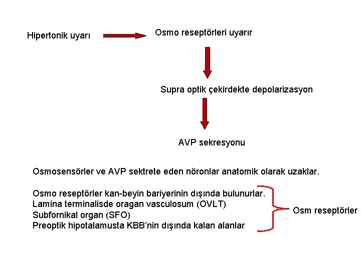 Hipertonik uyarı Osmo reseptörleri uyarır Supra optik çekirdekte depolarizasyon AVP sekresyonu Osmosensörler ve AVP