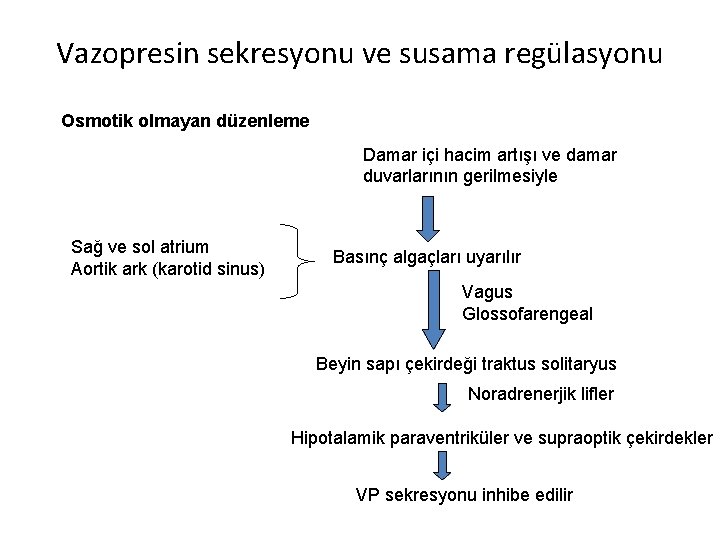 Vazopresin sekresyonu ve susama regülasyonu Osmotik olmayan düzenleme Damar içi hacim artışı ve damar