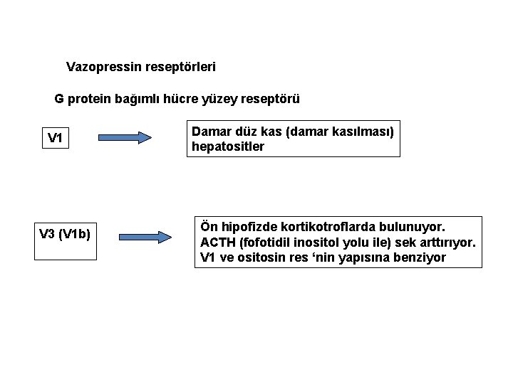 Vazopressin reseptörleri G protein bağımlı hücre yüzey reseptörü V 1 V 3 (V 1
