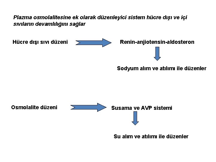 Plazma osmolalitesine ek olarak düzenleyici sistem hücre dışı ve içi sıvıların devamlılığını sağlar Hücre