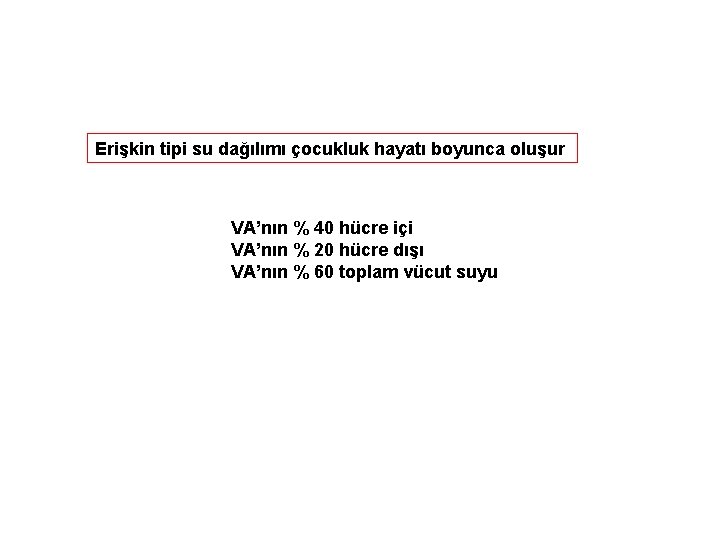 Erişkin tipi su dağılımı çocukluk hayatı boyunca oluşur VA’nın % 40 hücre içi VA’nın