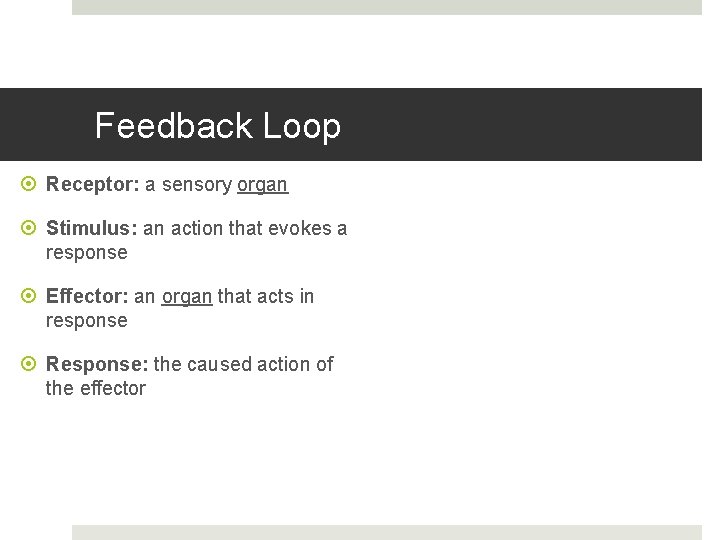 Feedback Loop Receptor: a sensory organ Stimulus: an action that evokes a response Effector: