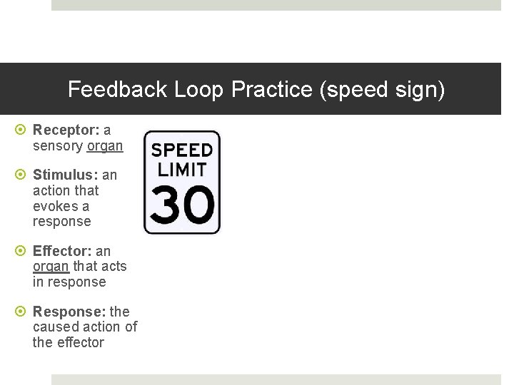 Feedback Loop Practice (speed sign) Receptor: a sensory organ Stimulus: an action that evokes