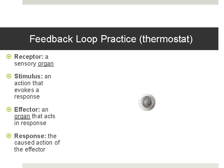 Feedback Loop Practice (thermostat) Receptor: a sensory organ Stimulus: an action that evokes a