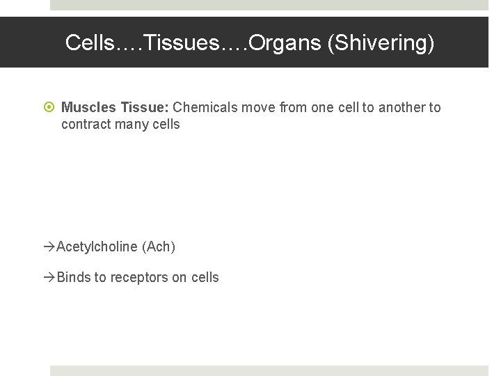 Cells…. Tissues…. Organs (Shivering) Muscles Tissue: Chemicals move from one cell to another to