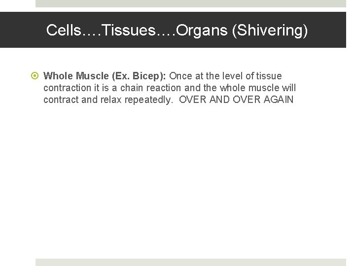 Cells…. Tissues…. Organs (Shivering) Whole Muscle (Ex. Bicep): Once at the level of tissue