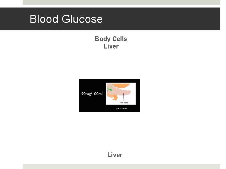 Blood Glucose Body Cells Liver 