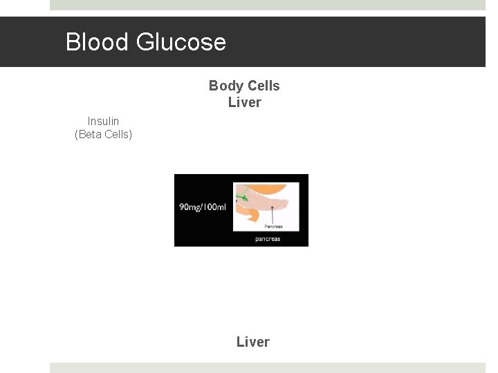 Blood Glucose Body Cells Liver Insulin (Beta Cells) Liver 