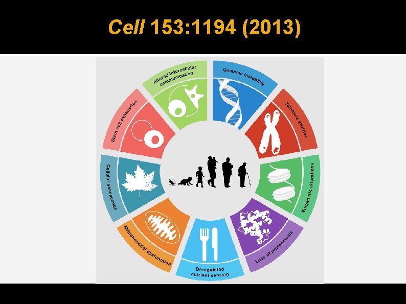 Cell 153: 1194 (2013) 