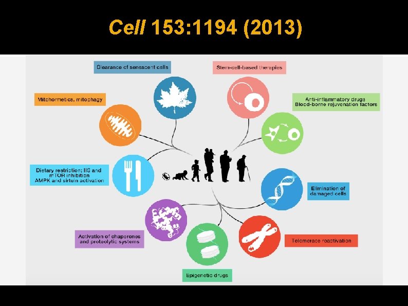 Cell 153: 1194 (2013) 