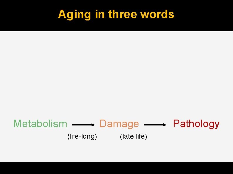 Aging in three words Metabolism Damage (life-long) (late life) Pathology 