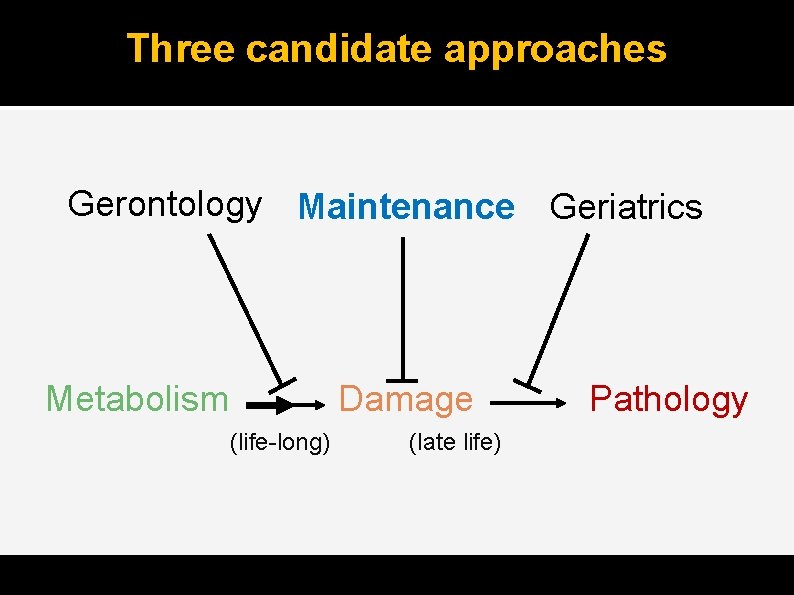 Three candidate approaches Gerontology Maintenance Geriatrics Metabolism Damage (life-long) (late life) Pathology 