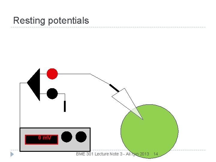 Resting potentials 0 m. V BME 301 Lecture Note 3 - Ali Işın 2013