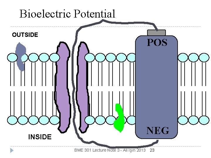 Bioelectric Potential OUTSIDE POS NEG INSIDE BME 301 Lecture Note 3 - Ali Işın