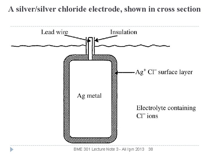 A silver/silver chloride electrode, shown in cross section BME 301 Lecture Note 3 -