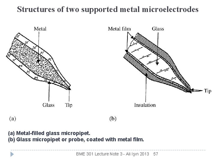 Structures of two supported metal microelectrodes (a) Metal-filled glass micropipet. (b) Glass micropipet or