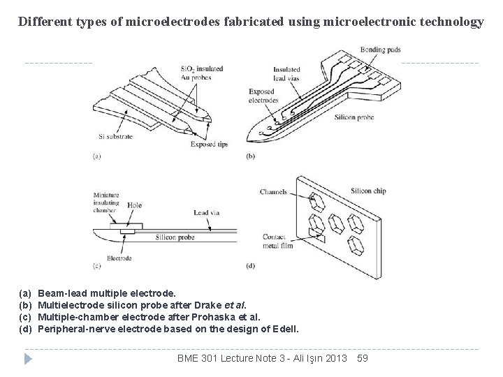 Different types of microelectrodes fabricated using microelectronic technology (a) (b) (c) (d) Beam-lead multiple