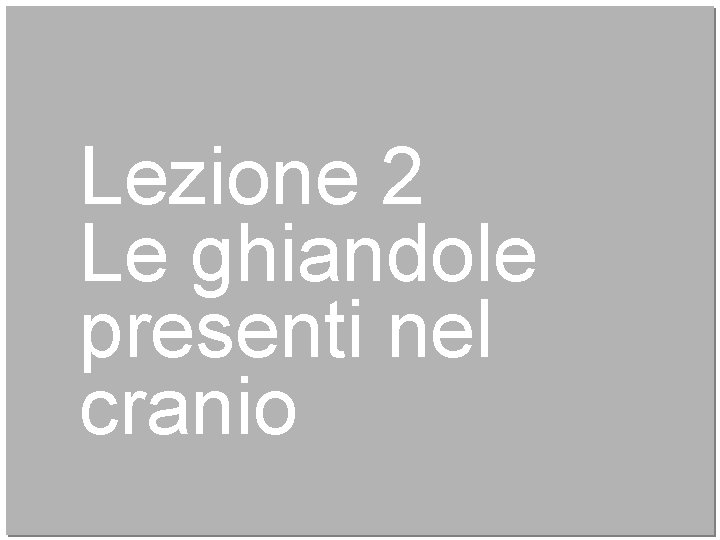 Lezione 2 Le ghiandole presenti nel cranio 