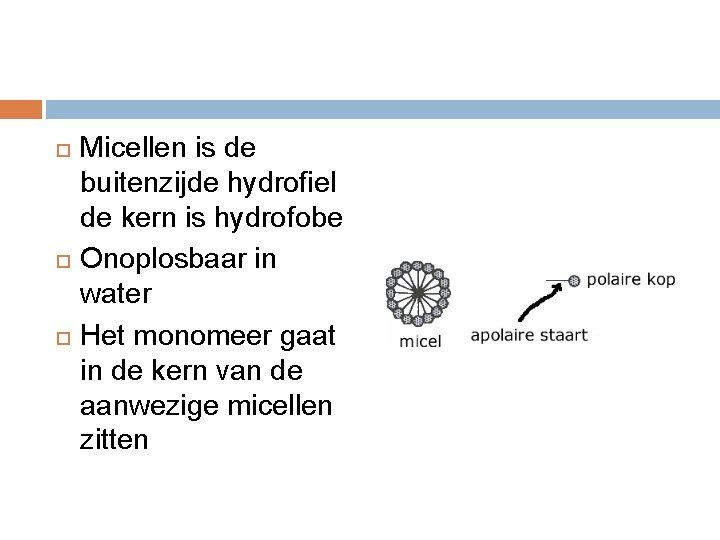 Micellen is de buitenzijde hydrofiel de kern is hydrofobe Onoplosbaar in water Het  Micellen is de buitenzijde hydrofiel de kern is hydrofobe Onoplosbaar in water Het