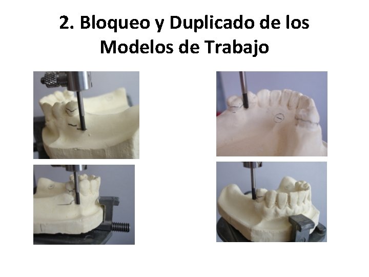 2. Bloqueo y Duplicado de los Modelos de Trabajo 