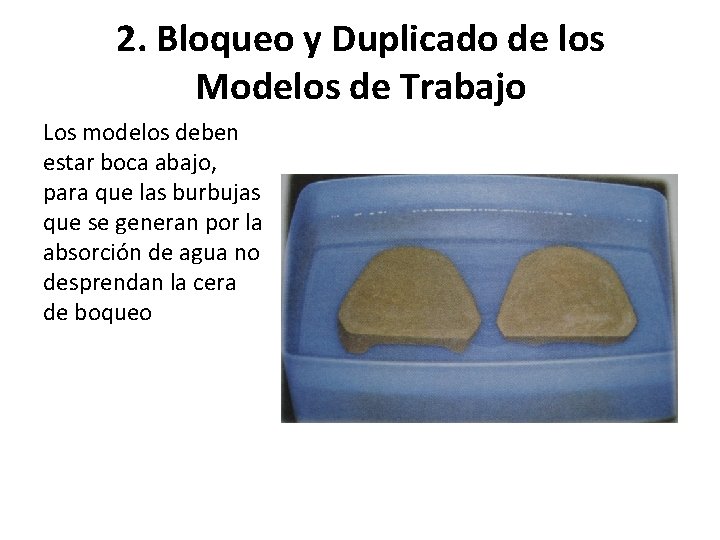 2. Bloqueo y Duplicado de los Modelos de Trabajo Los modelos deben estar boca