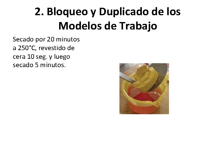2. Bloqueo y Duplicado de los Modelos de Trabajo Secado por 20 minutos a