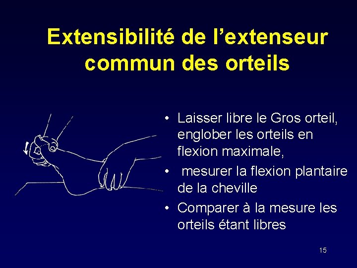 Extensibilité de l’extenseur commun des orteils • Laisser libre le Gros orteil, englober les