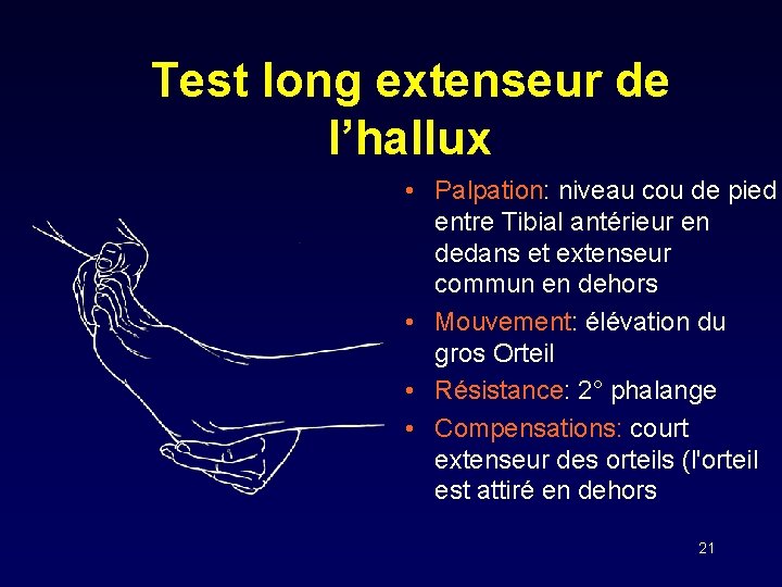 Test long extenseur de l’hallux • Palpation: niveau cou de pied entre Tibial antérieur