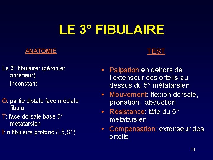 LE 3° FIBULAIRE ANATOMIE Le 3° fibulaire: (péronier antérieur) inconstant O: partie distale face