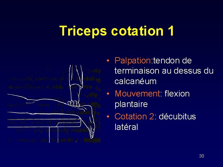 Triceps cotation 1 • Palpation: tendon de terminaison au dessus du calcanéum • Mouvement: