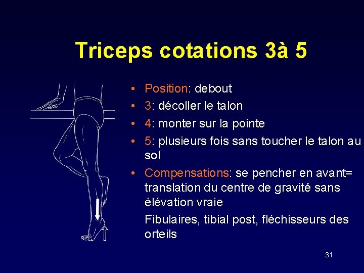 Triceps cotations 3à 5 • • Position: debout 3: décoller le talon 4: monter