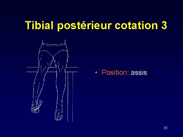 Tibial postérieur cotation 3 • Position: assis 35 