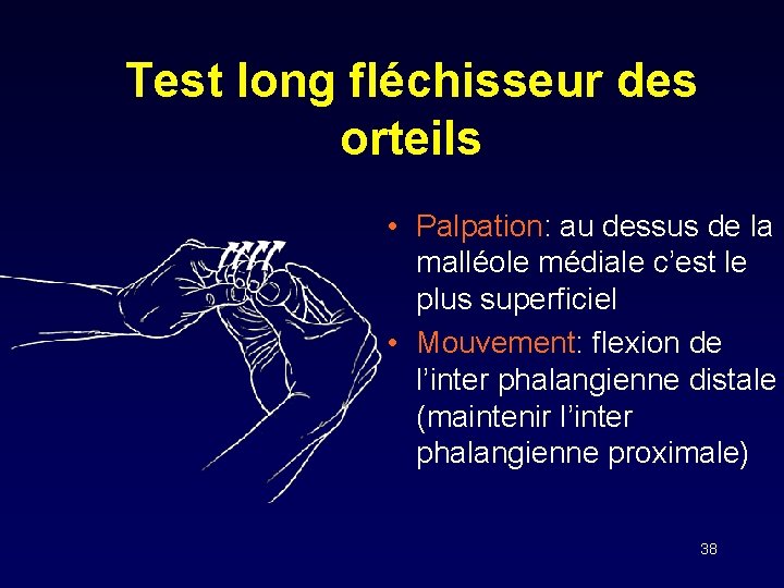 Test long fléchisseur des orteils • Palpation: au dessus de la malléole médiale c’est