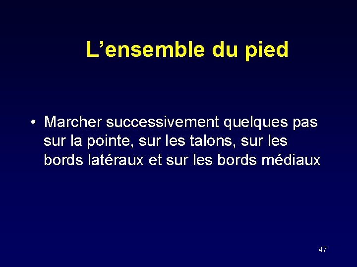 L’ensemble du pied • Marcher successivement quelques pas sur la pointe, sur les talons,