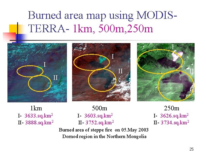 Burned area map using MODISTERRA- 1 km, 500 m, 250 m I II II