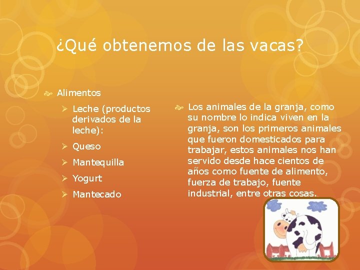 ¿Qué obtenemos de las vacas? Alimentos Ø Leche (productos derivados de la leche): Ø