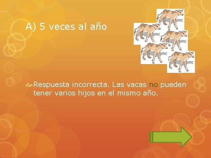 A) 5 veces al año Respuesta incorrecta. Las vacas no pueden tener varios hijos