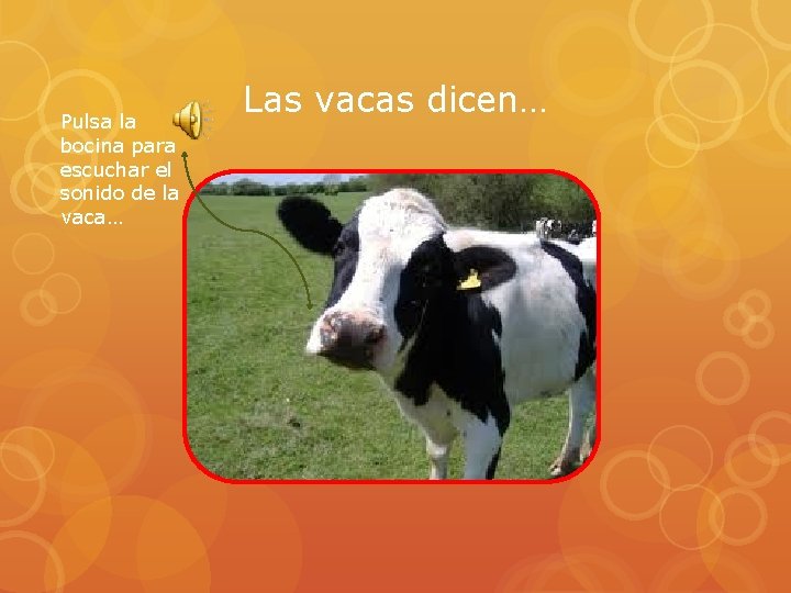 Pulsa la bocina para escuchar el sonido de la vaca… Las vacas dicen… 