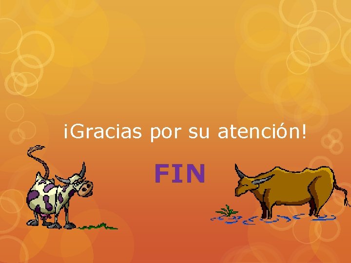 ¡Gracias por su atención! FIN 