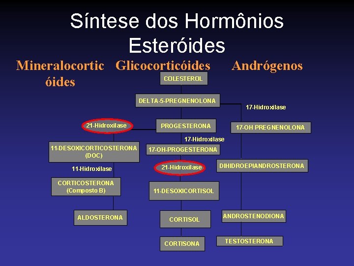 Síntese dos Hormônios Esteróides Mineralocortic Glicocorticóides COLESTEROL óides Andrógenos DELTA-5 -PREGNENOLONA 17 -Hidroxilase 21
