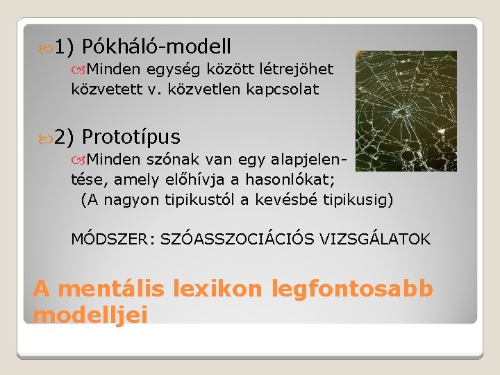  1) Pókháló-modell Minden egység között létrejöhet közvetett v. közvetlen kapcsolat 2) Prototípus Minden