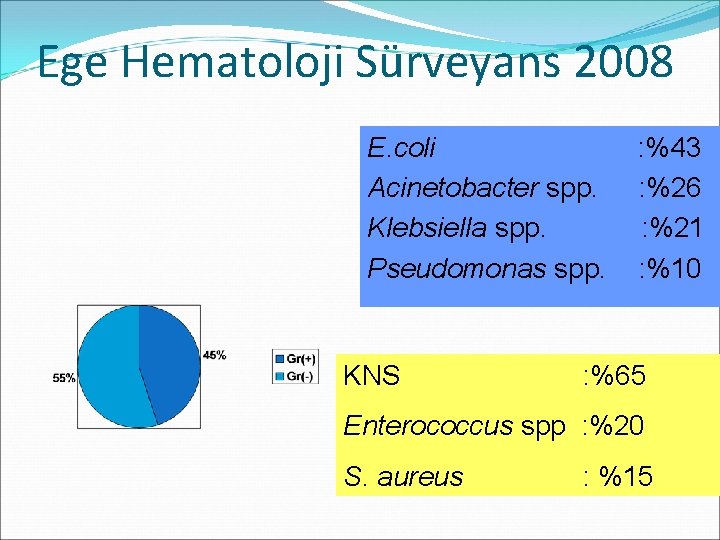 Ege Hematoloji Sürveyans 2008 E. coli FEN atak : 231 Acinetobacter spp. NBA :