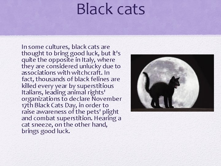 Black cats In some cultures, black cats are thought to bring good luck, but