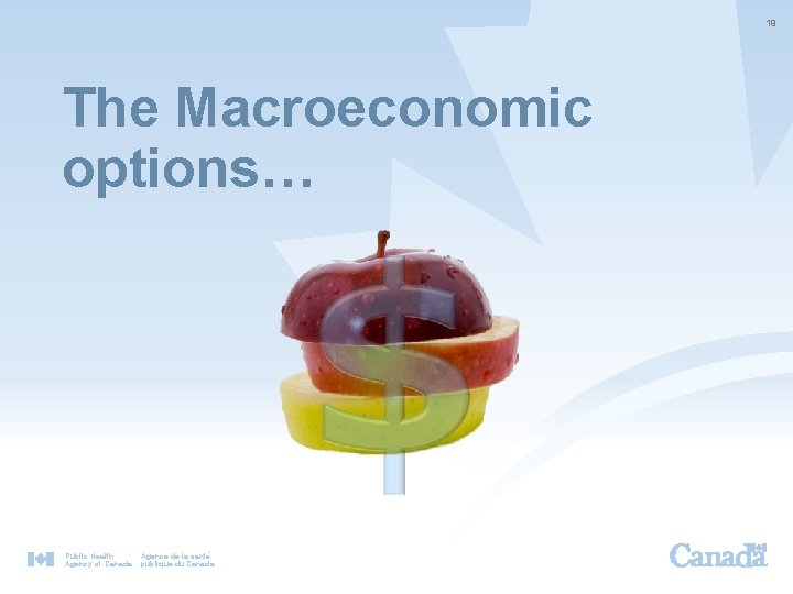 19 The Macroeconomic options… Public Health Agency of Canada Agence de la santé publique