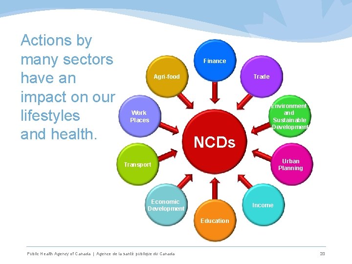 Actions by many sectors have an impact on our lifestyles and health. Finance Agri-food