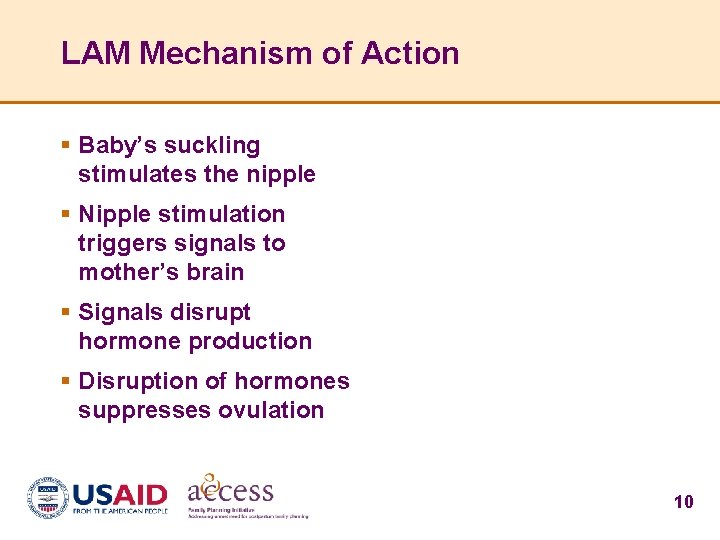 LAM Mechanism of Action § Baby’s suckling stimulates the nipple § Nipple stimulation triggers
