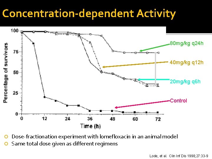 Concentration-dependent Activity 80 mg/kg q 24 h 40 mg/kg q 12 h 20 mg/kg