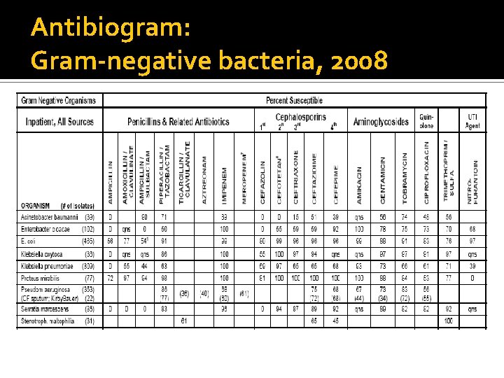 Antibiogram: Gram-negative bacteria, 2008 